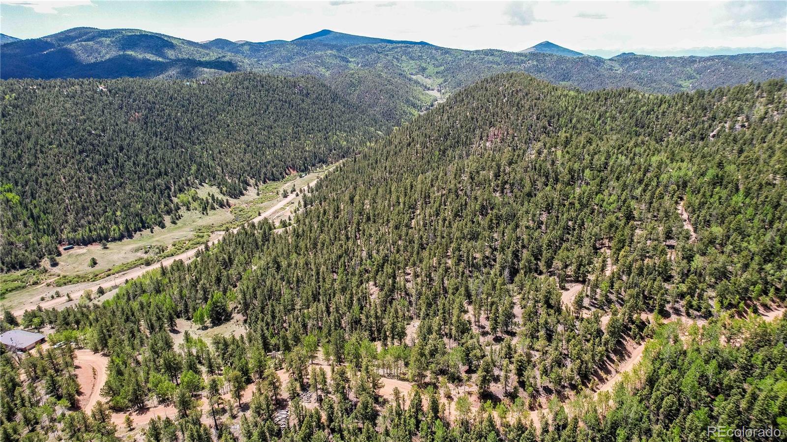 59 Robin Point Divide, CO 80814 - Photo 22 of 30 a view of a forest with a mountain
