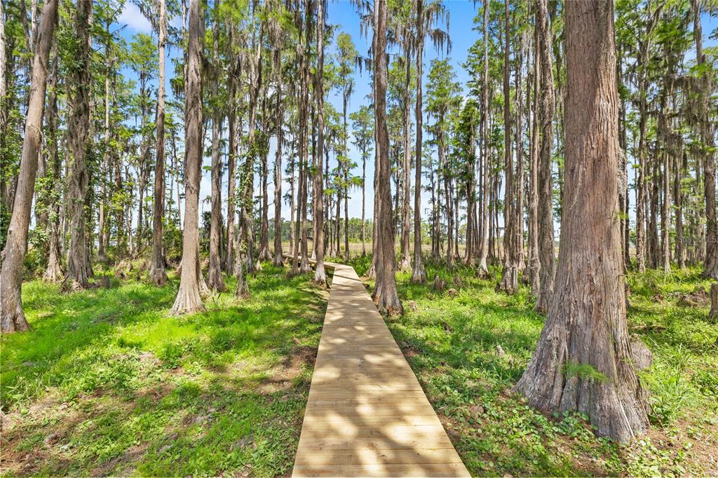 7907 Florida Boys Ranch Road Groveland, FL 34736 - Photo 57 of 80 Gallery Image 57