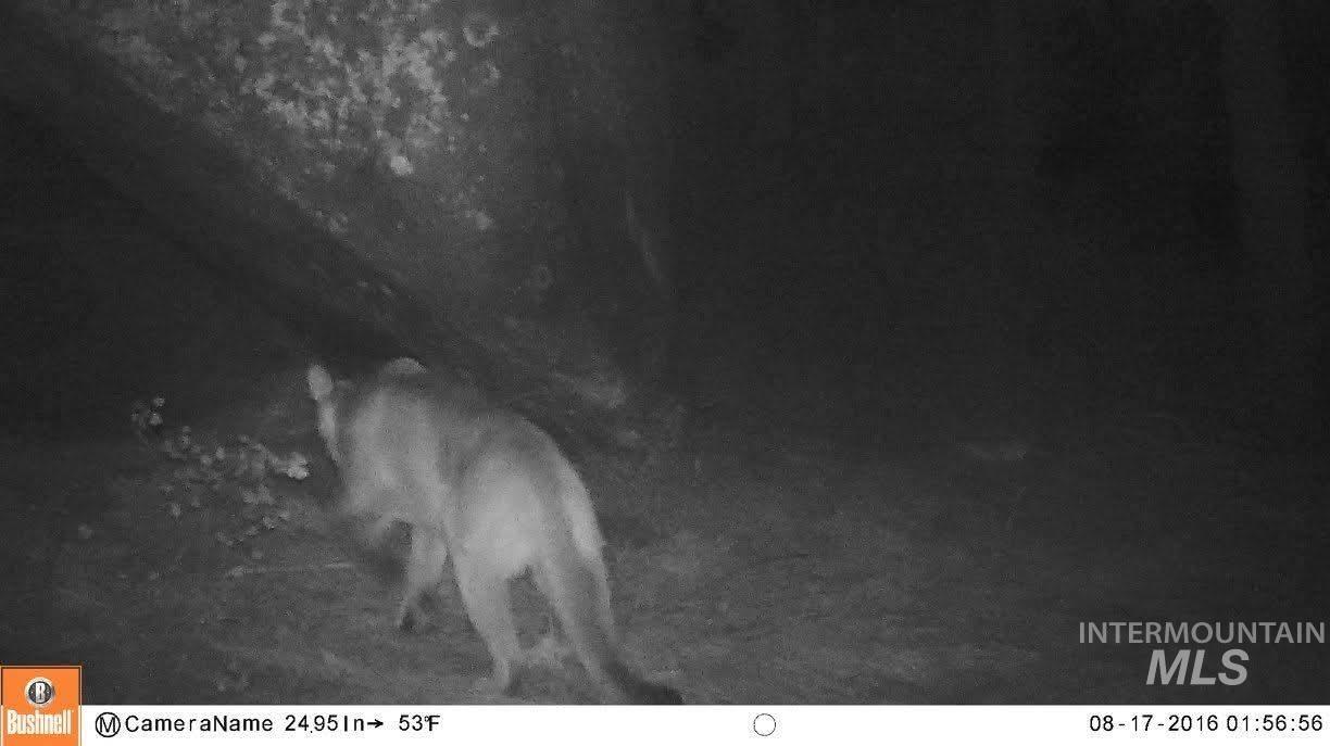 L16-b1 Lantern Way Cascade, ID 83611 - Photo 29 of 32