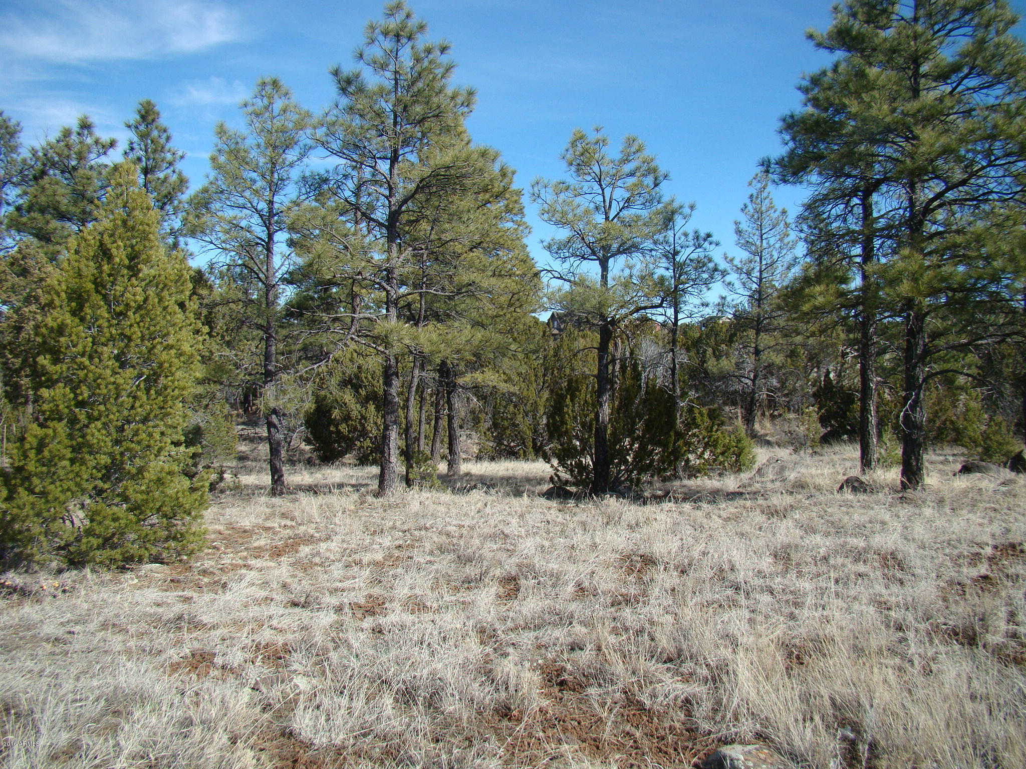 2060 East Bluff Ridge Road, Unit 7 Show Low, AZ 85901 - Photo 5 of 7 2060 E Bluff Ridge Road