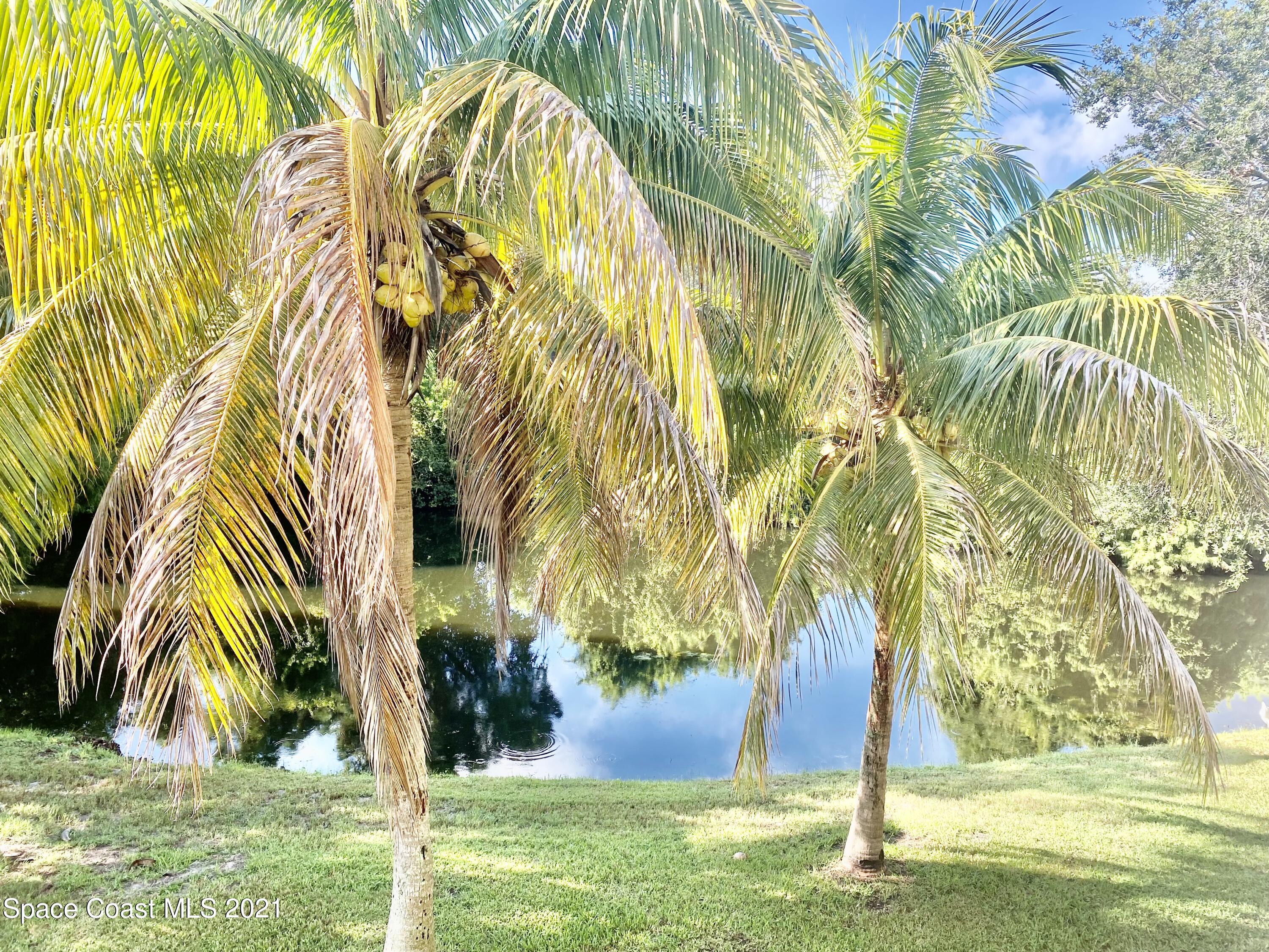 7667 North Wickham Road, Unit 117 Melbourne, FL 32940 - Photo 24 of 44 IMG_E0681