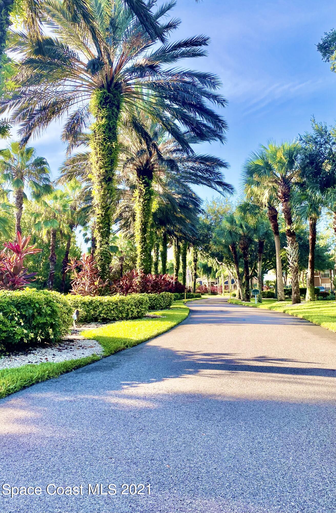 7667 North Wickham Road, Unit 117 Melbourne, FL 32940 - Photo 41 of 44 IMG_E0551