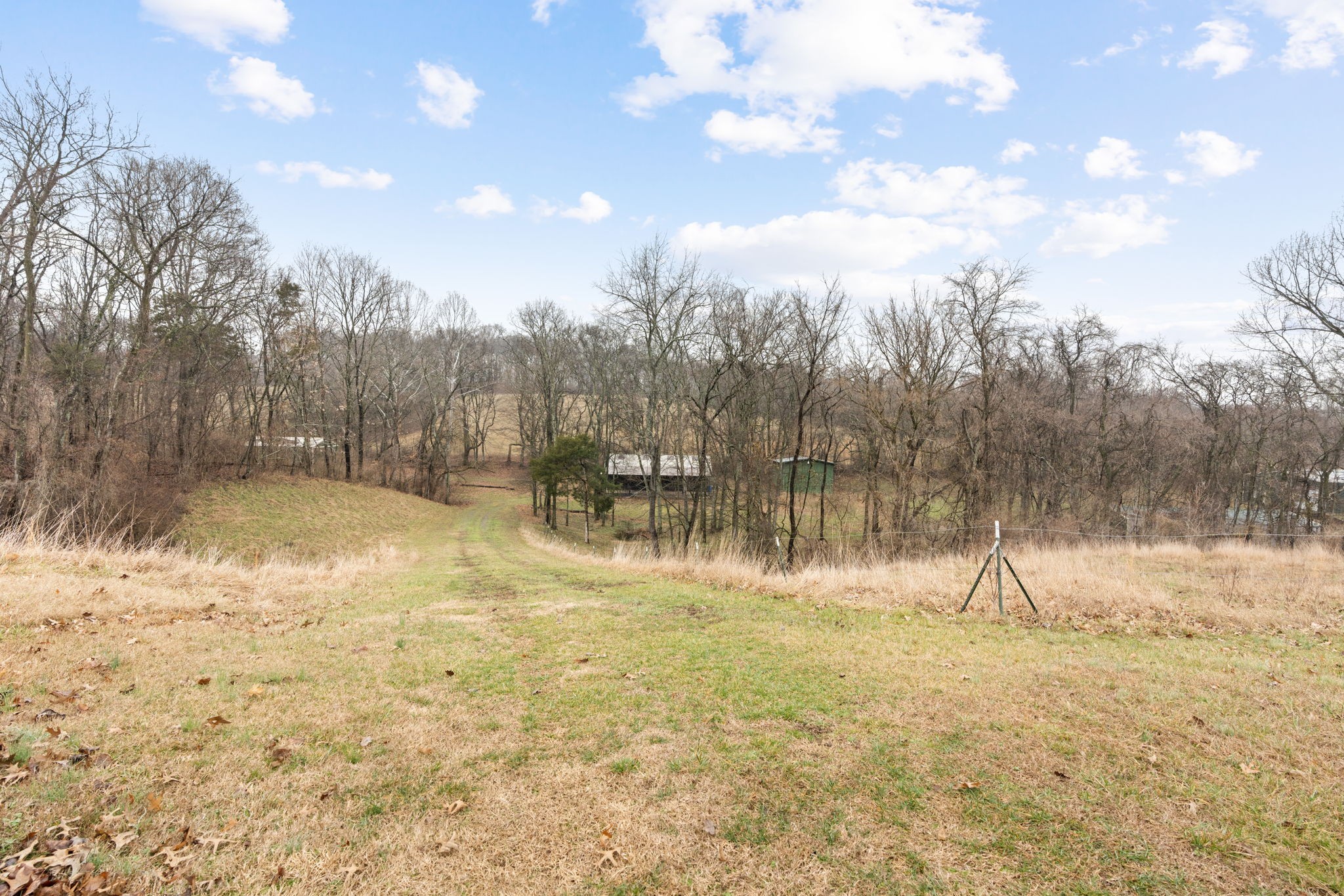 121 Ridgemar Trail Hendersonville, TN 37075 - Photo 36 of 46 a view of a yard with a tree