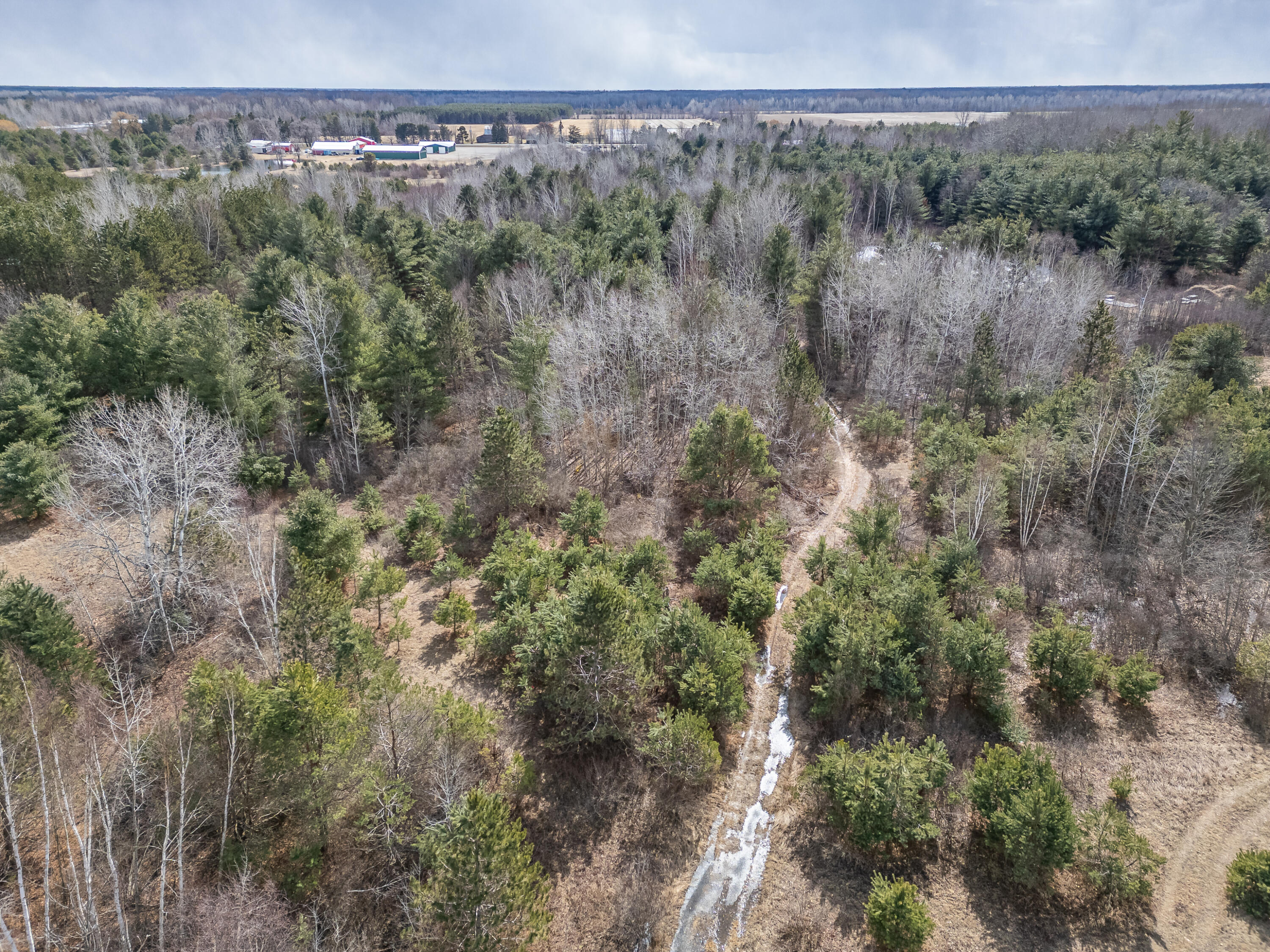 1711 Weber Road Gladwin, MI 48624 - Photo 12 of 24 Weber Rd - MLS-14