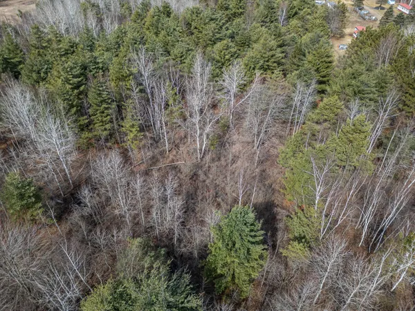 $42,500 | 1711 Weber Road, Gladwin, MI 48624