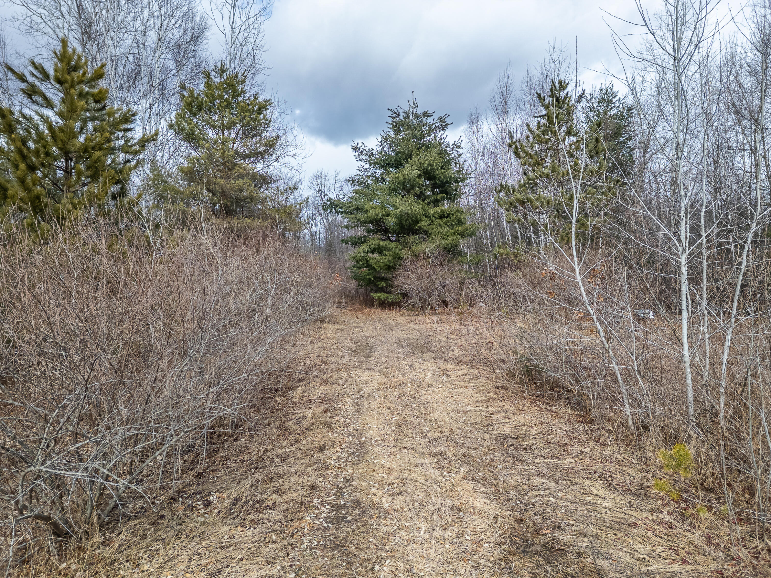 1711 Weber Road Gladwin, MI 48624 - Photo 16 of 24 Weber Rd - MLS-19
