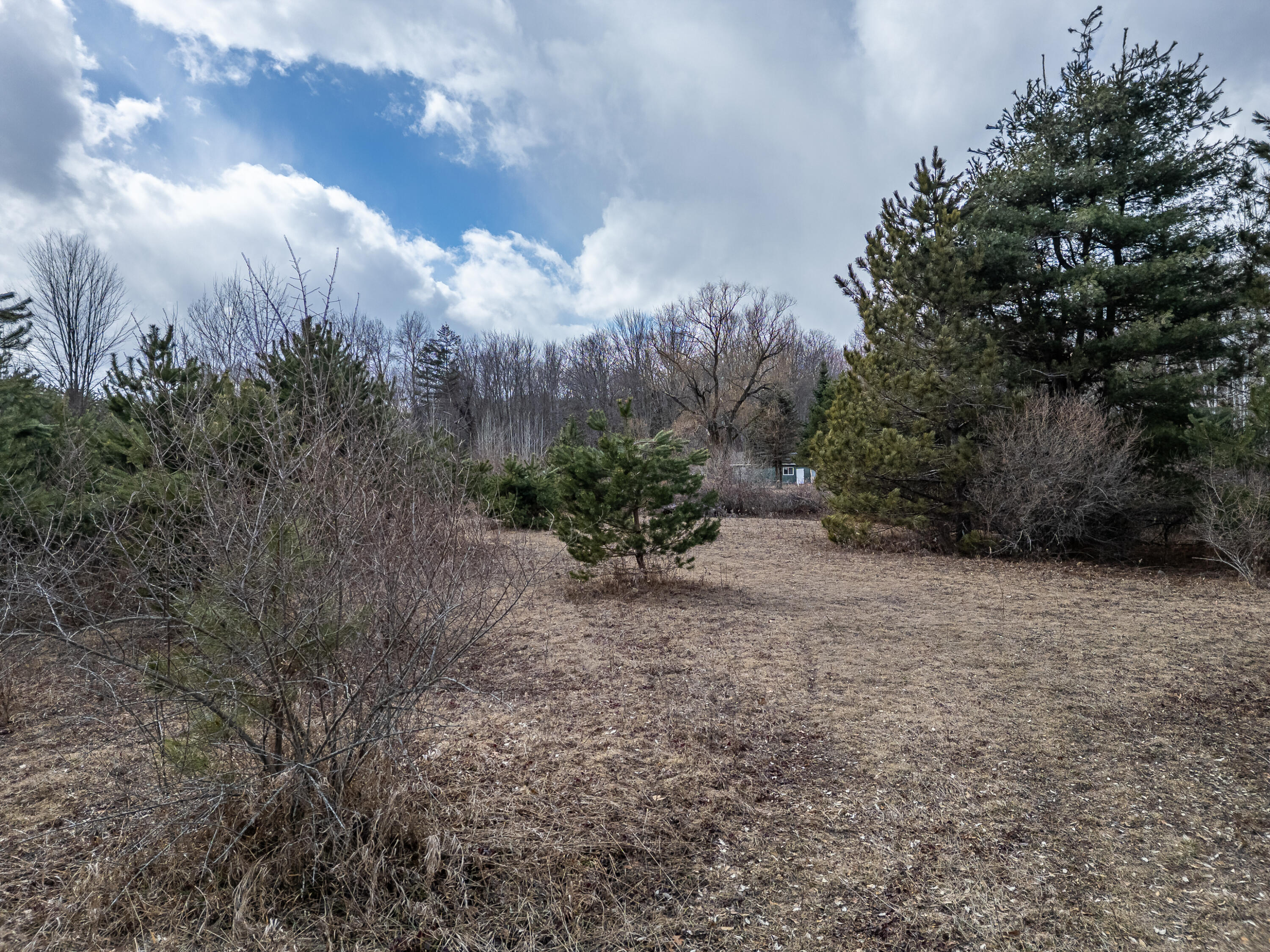 1711 Weber Road Gladwin, MI 48624 - Photo 17 of 24 Weber Rd - MLS-20