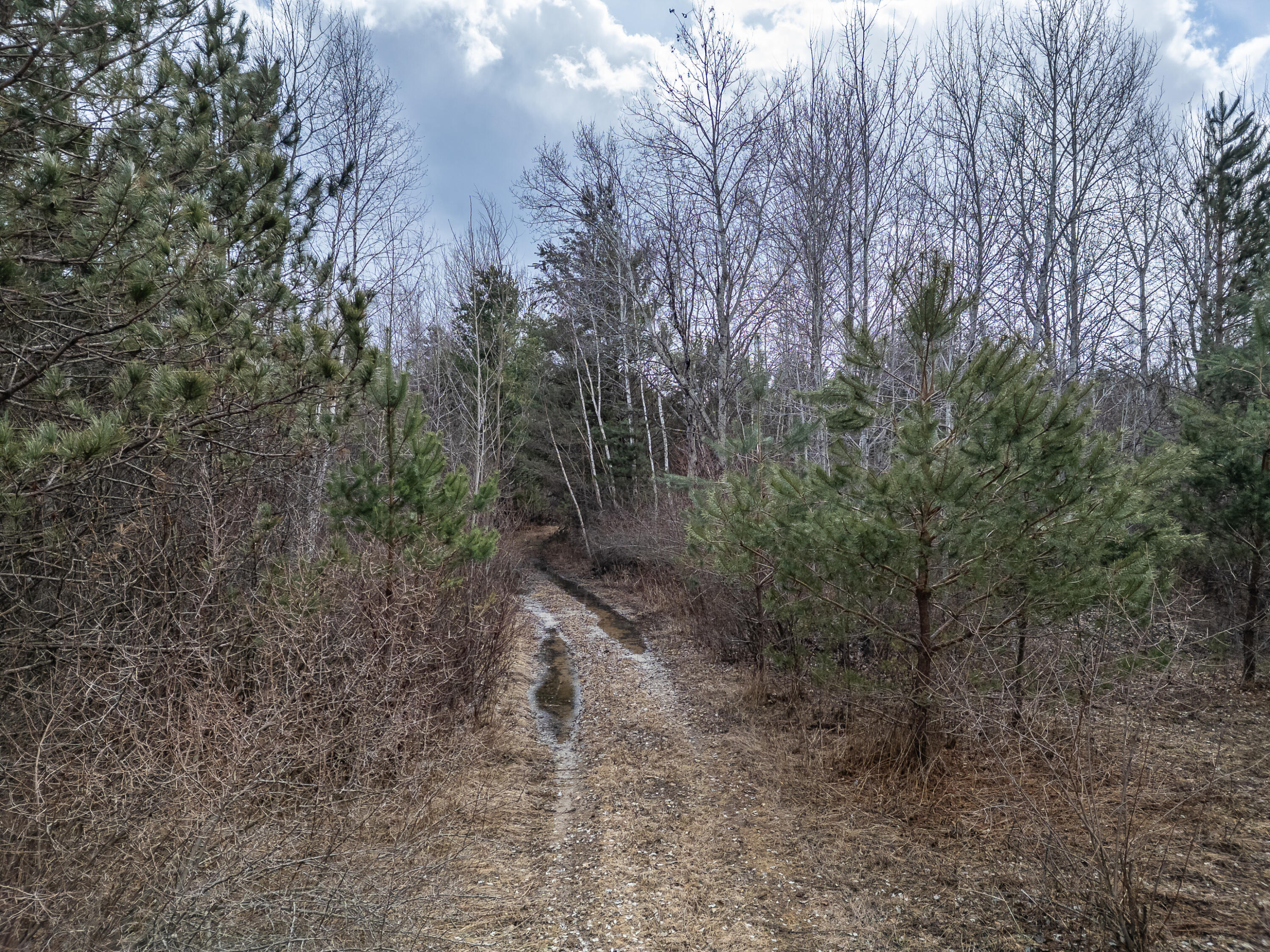 1711 Weber Road Gladwin, MI 48624 - Photo 18 of 24 Weber Rd - MLS-22