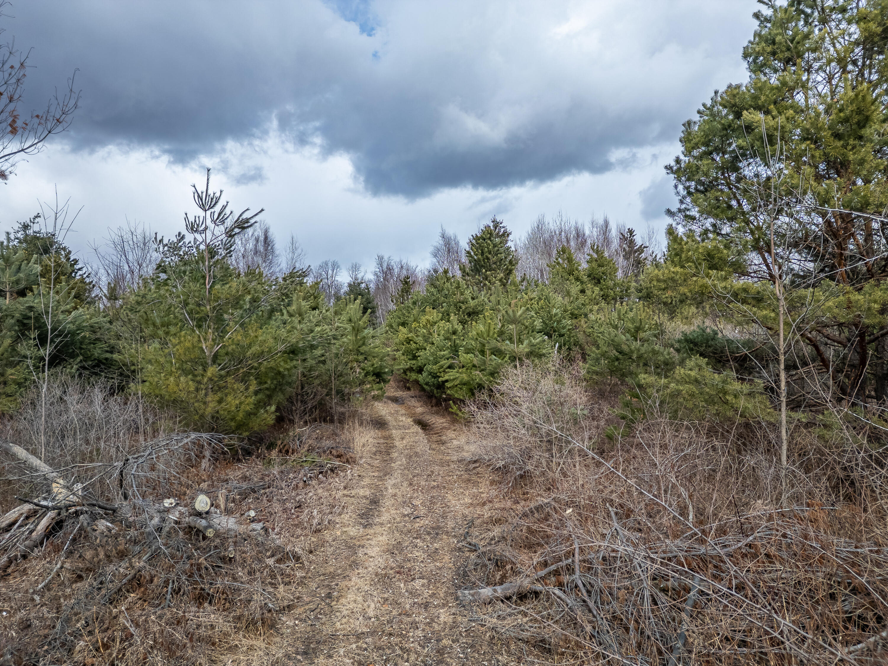 1711 Weber Road Gladwin, MI 48624 - Photo 19 of 24 Weber Rd - MLS-23
