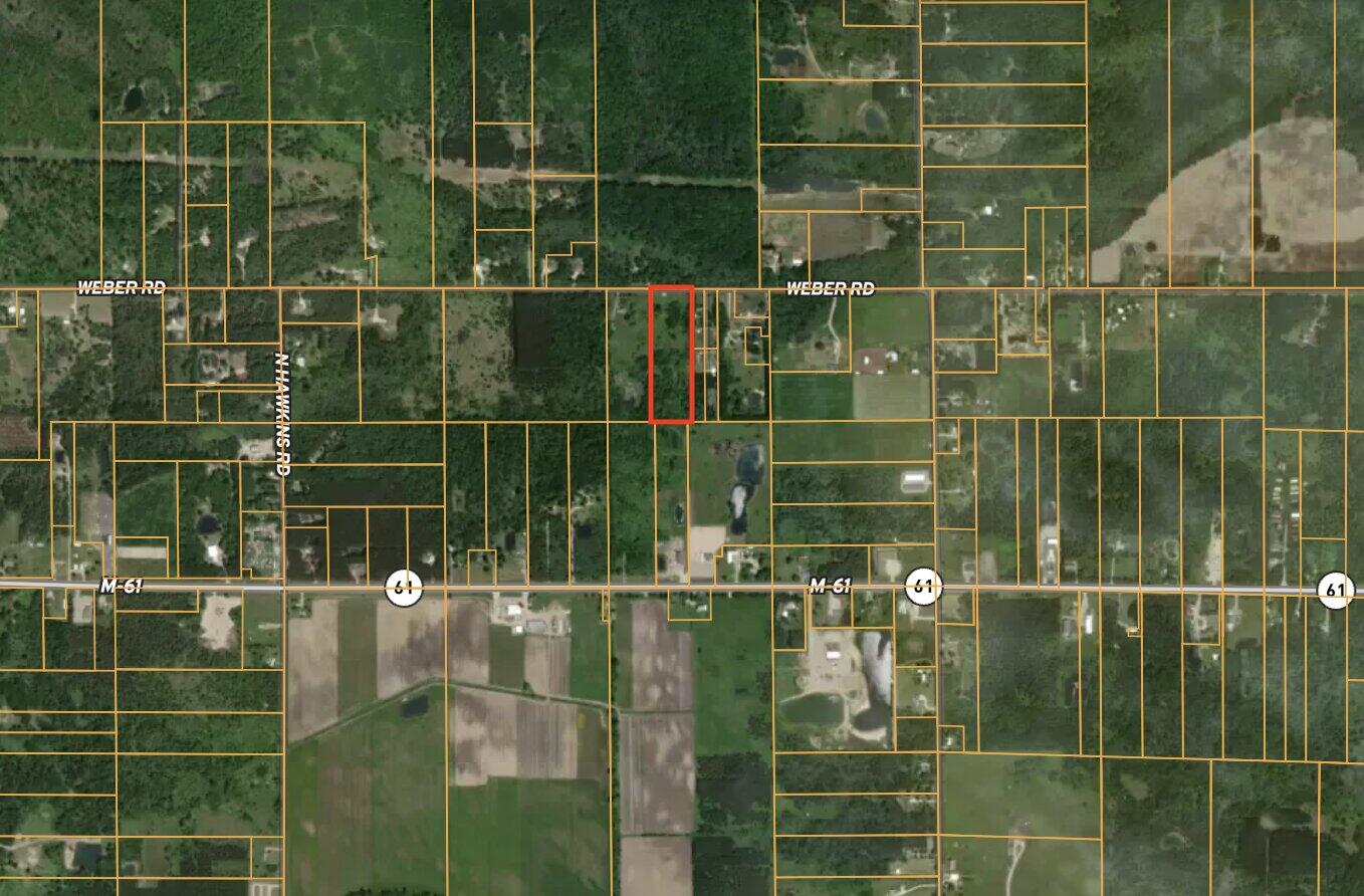 1711 Weber Road Gladwin, MI 48624 - Photo 24 of 24 ZZAerial Far - Ezra