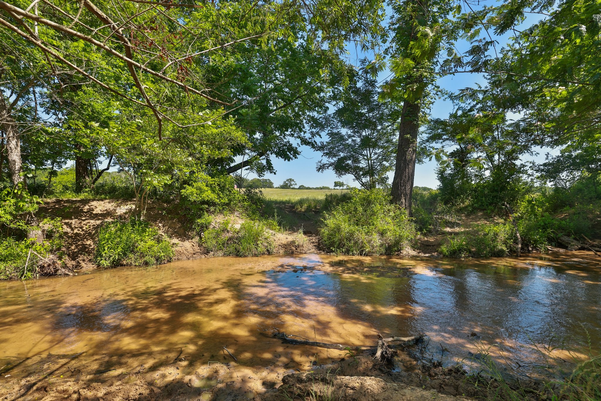 305 Rd Navasota Tx 77868 Road Navasota, TX 77868 - Photo 7 of 24 Gallery Image 7
