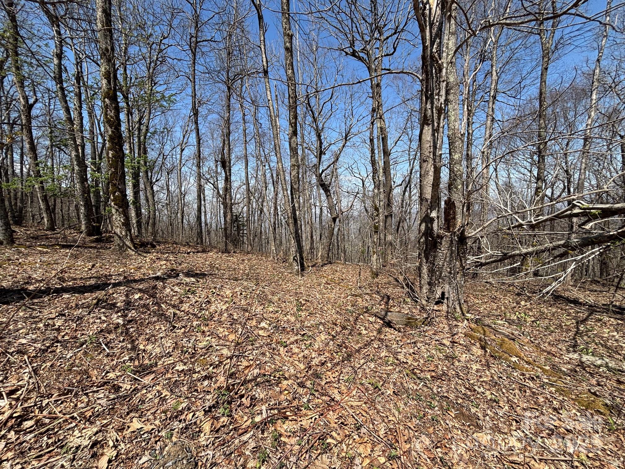 Tbd Arrowhead Ridge Road Spruce Pine, NC 28777 - Photo 2 of 28 Gallery Image 2