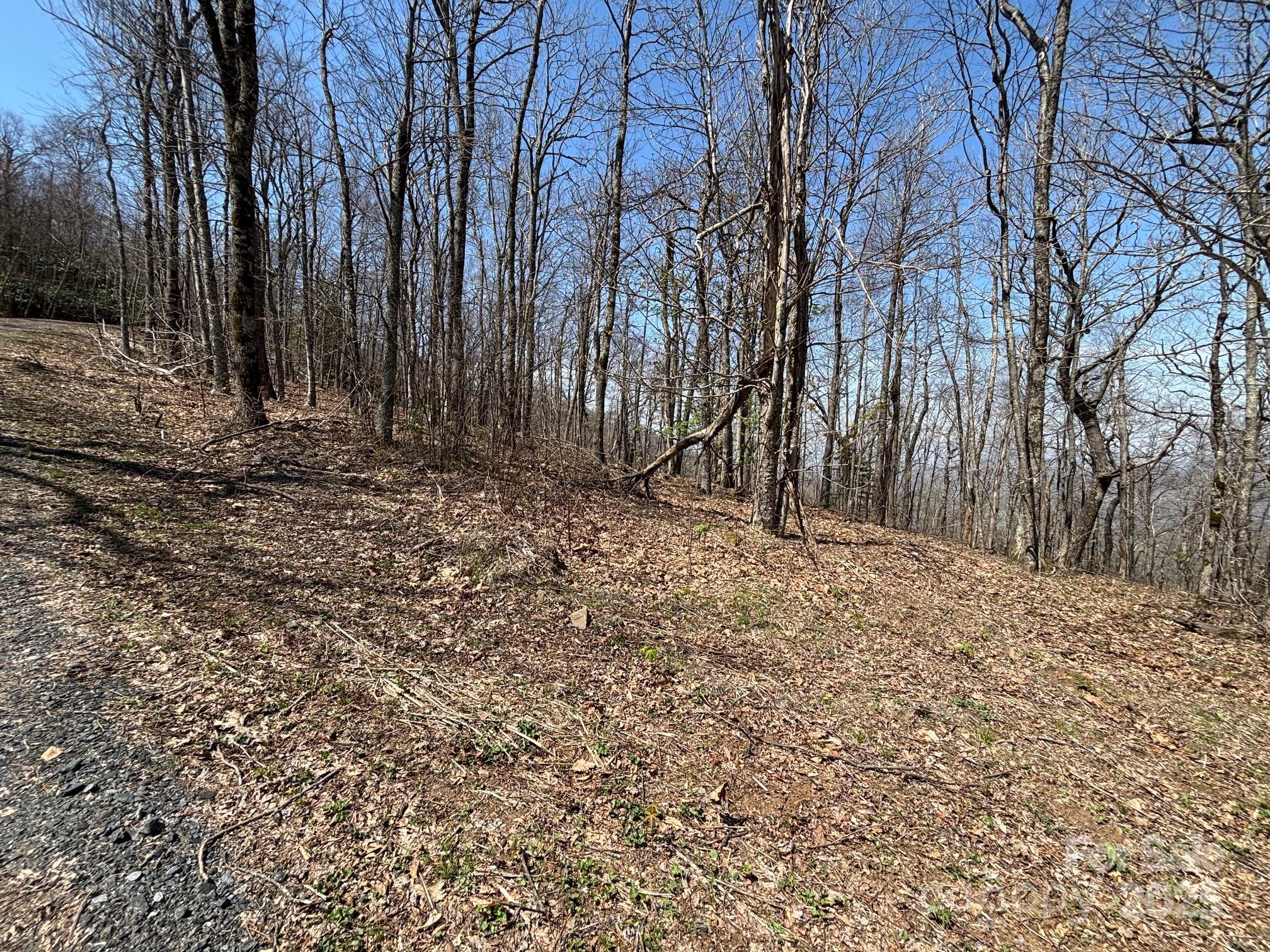 Tbd Arrowhead Ridge Road Spruce Pine, NC 28777 - Photo 3 of 28 Gallery Image 3