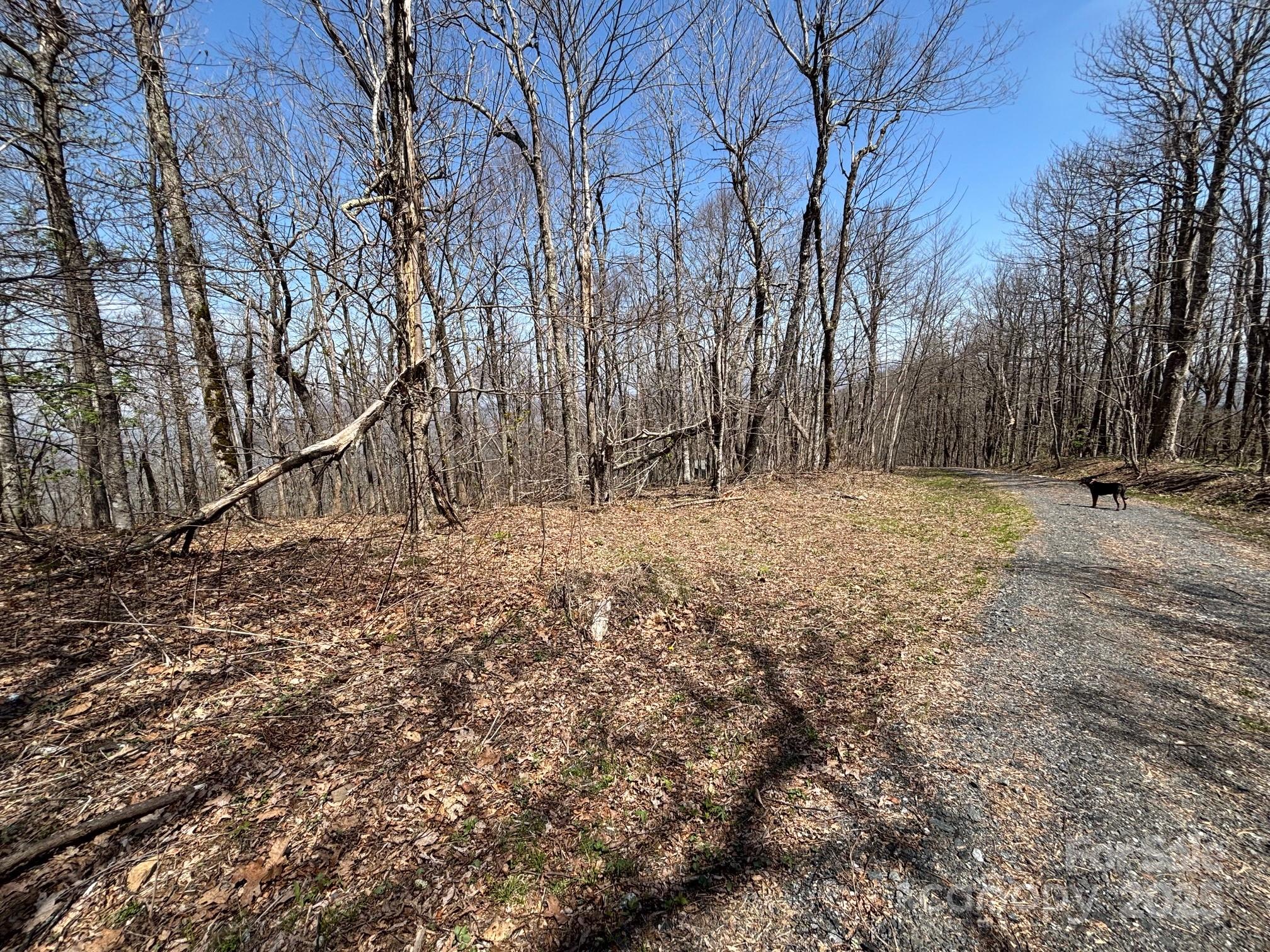 Tbd Arrowhead Ridge Road Spruce Pine, NC 28777 - Photo 6 of 28 Gallery Image 6