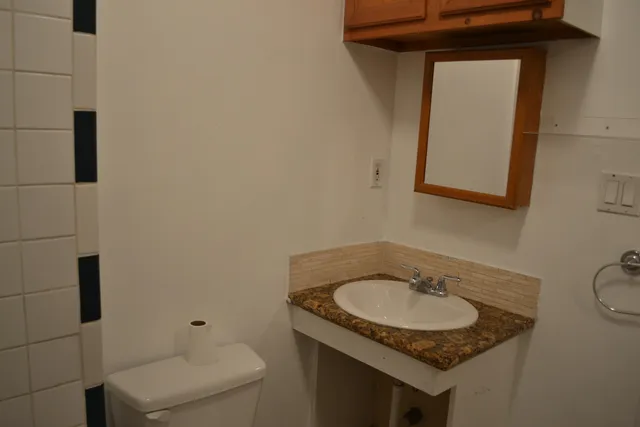 a house with trees in the background