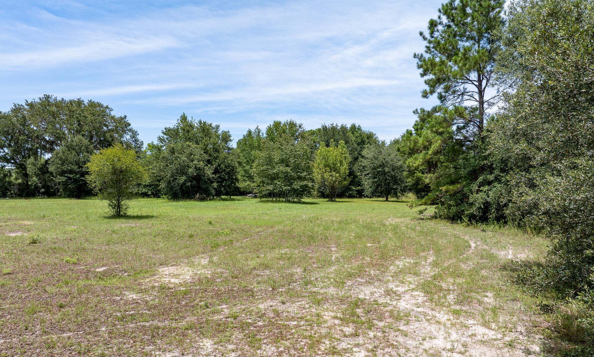 Vacant Northeast Rootman Road Madison, FL 32340 - Photo 12 of 22 Gallery Image 12