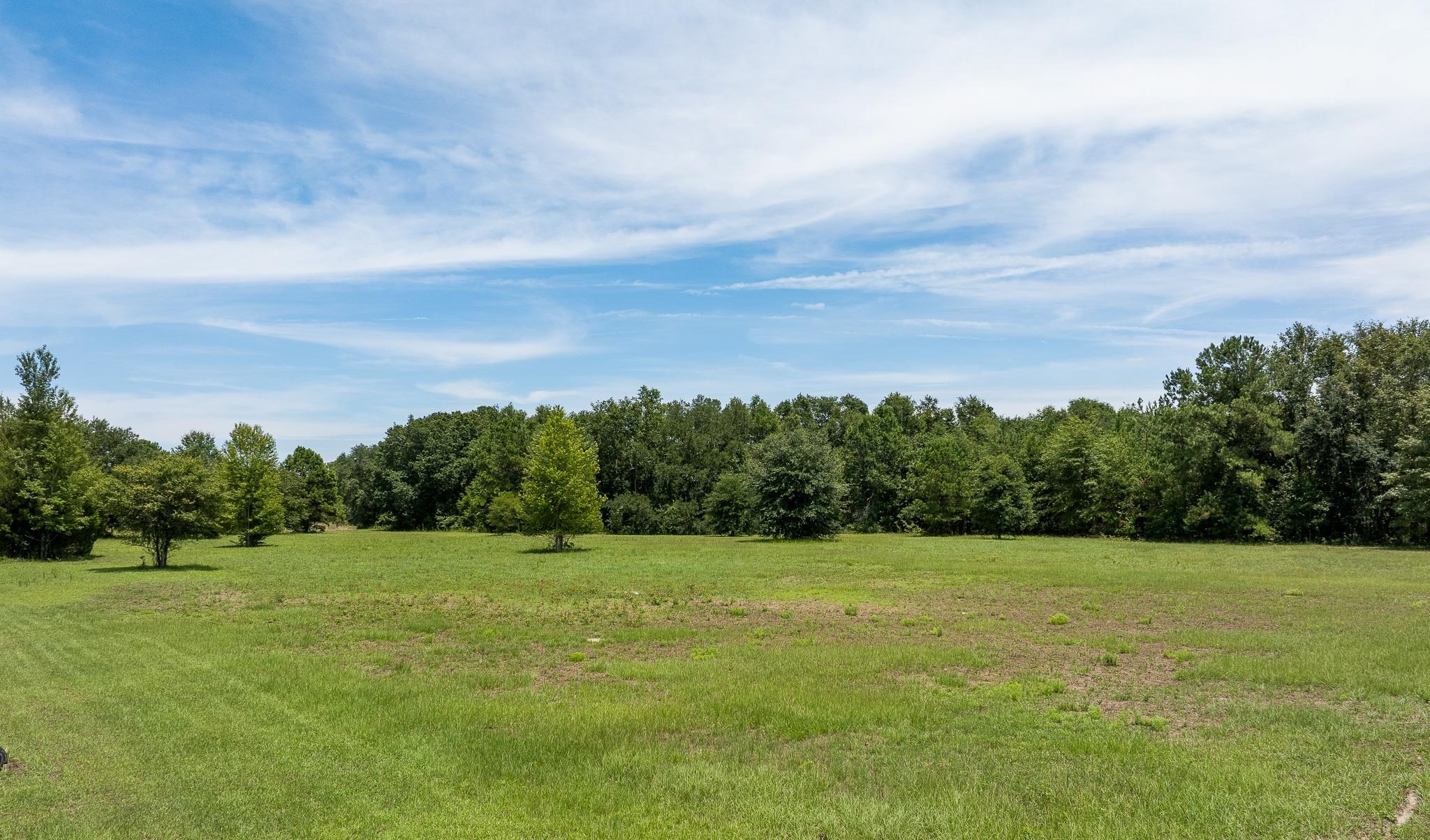 Vacant Northeast Rootman Road Madison, FL 32340 - Photo 13 of 22 Gallery Image 13