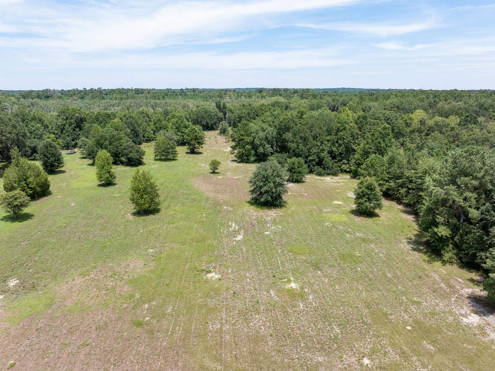 Vacant Northeast Rootman Road Madison, FL 32340 - Photo 16 of 22 Gallery Image 16