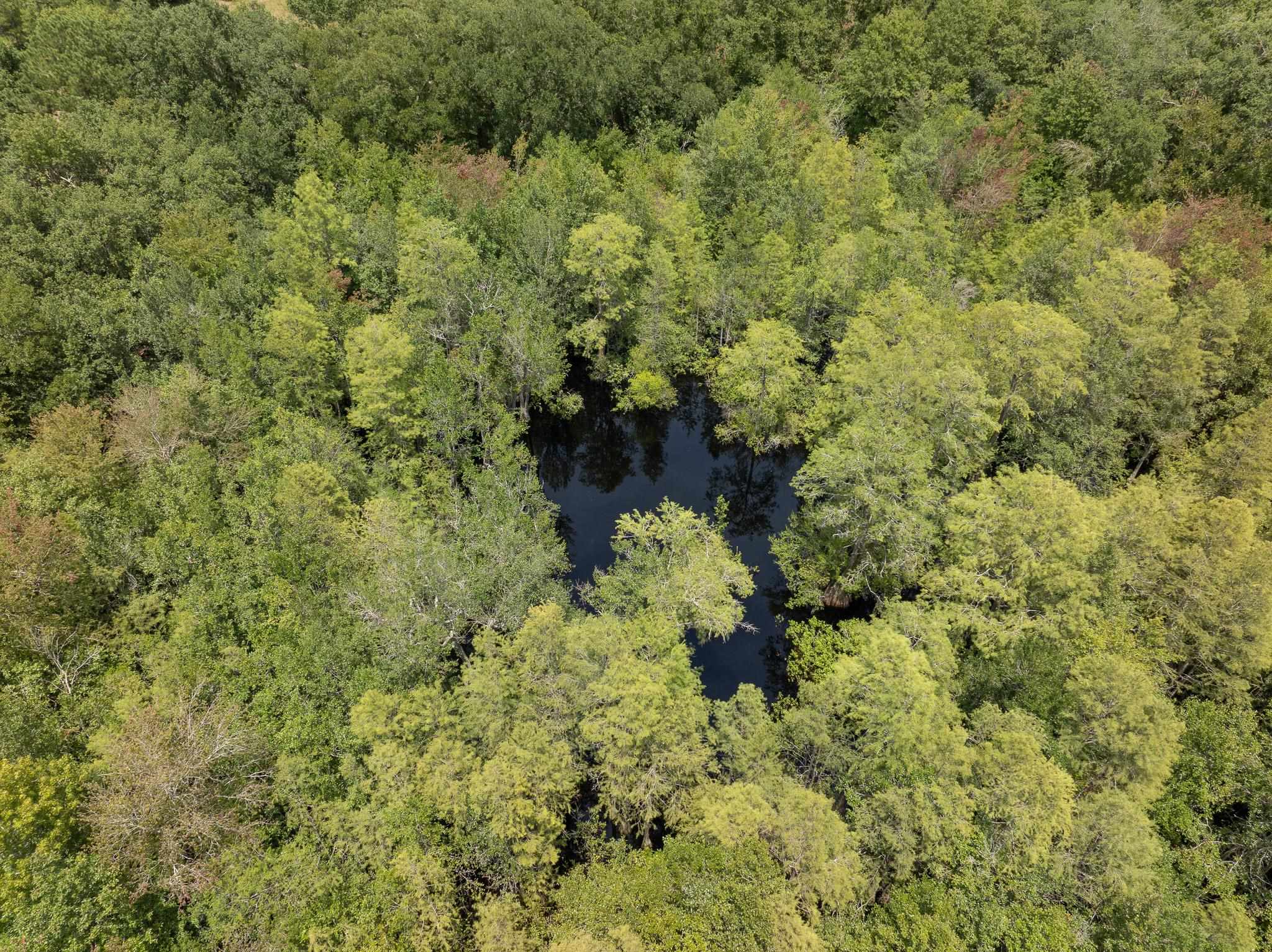 Vacant Northeast Rootman Road Madison, FL 32340 - Photo 17 of 22 Gallery Image 17