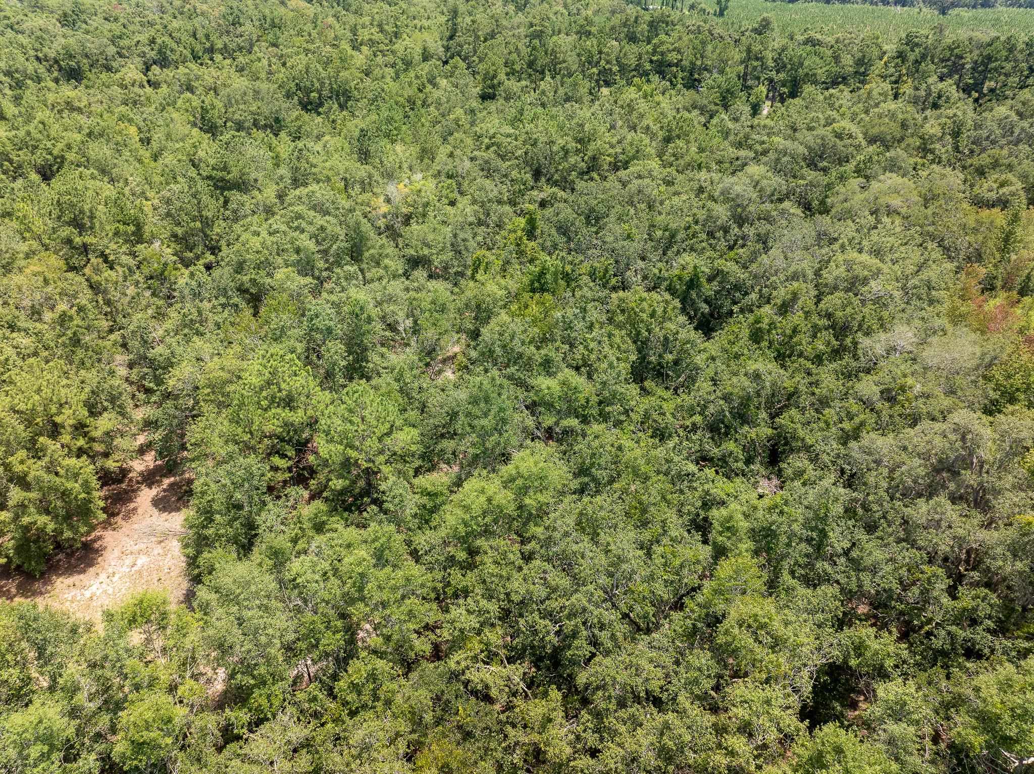 Vacant Northeast Rootman Road Madison, FL 32340 - Photo 2 of 22 Gallery Image 2