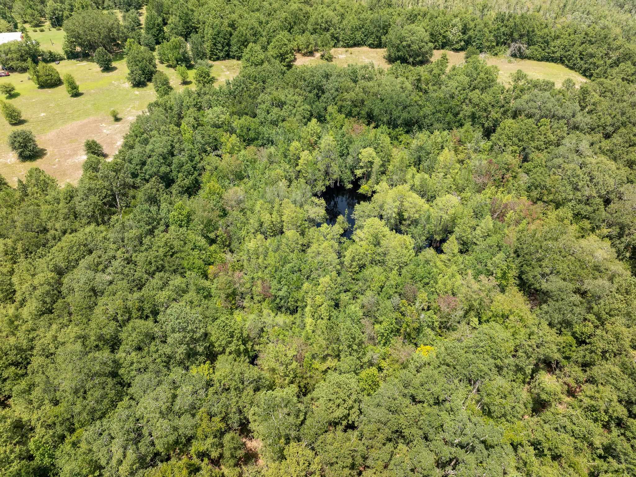 Vacant Northeast Rootman Road Madison, FL 32340 - Photo 21 of 22 Gallery Image 21
