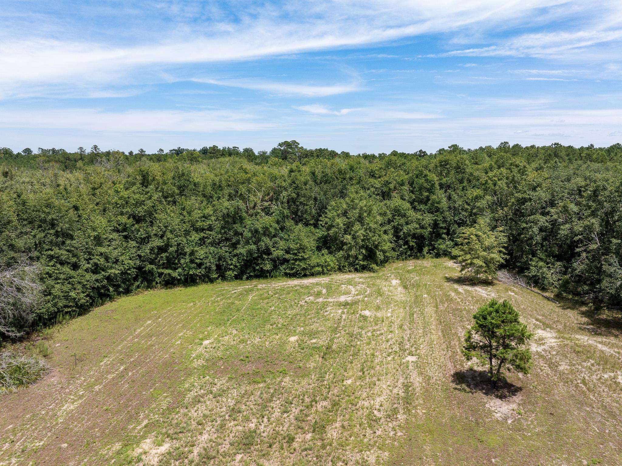 Vacant Northeast Rootman Road Madison, FL 32340 - Photo 4 of 22 Gallery Image 4