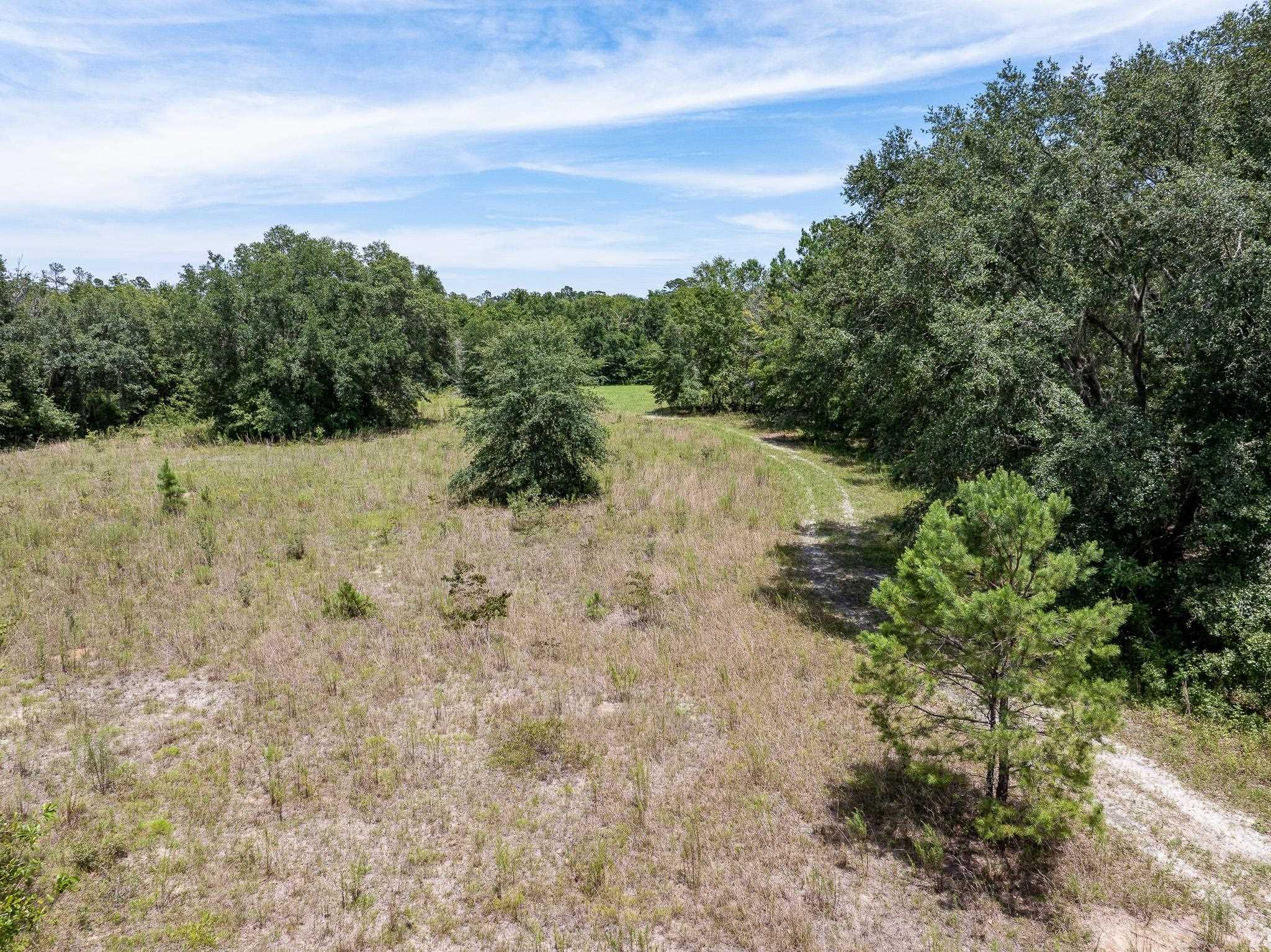 Vacant Northeast Rootman Road Madison, FL 32340 - Photo 5 of 22 Gallery Image 5