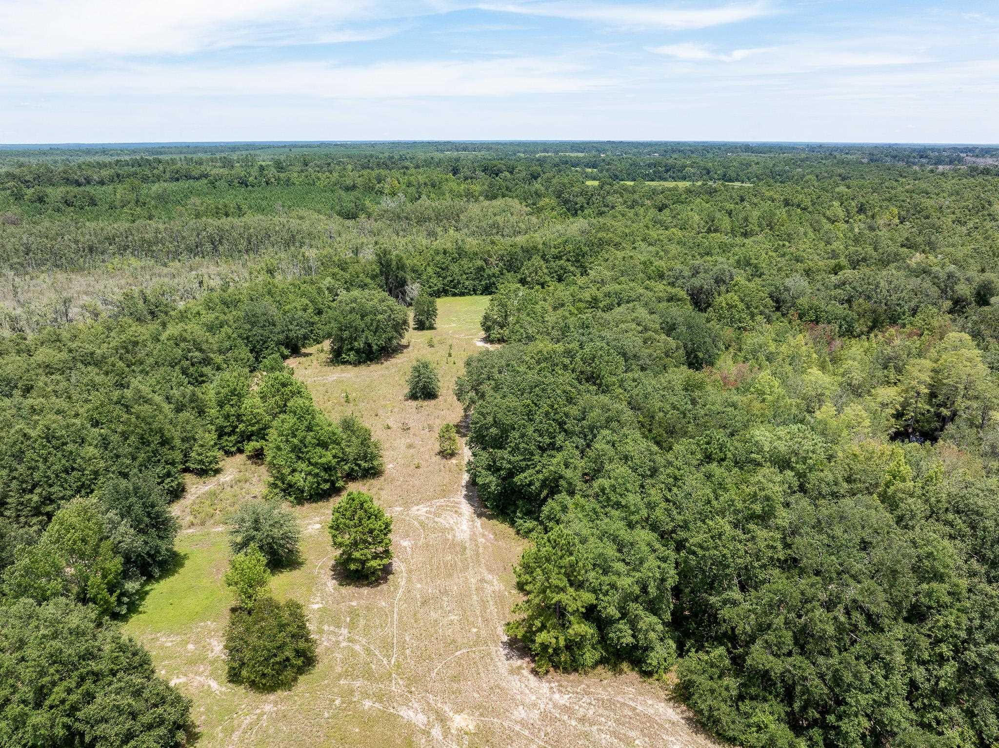 Vacant Northeast Rootman Road Madison, FL 32340 - Photo 6 of 22 Gallery Image 6
