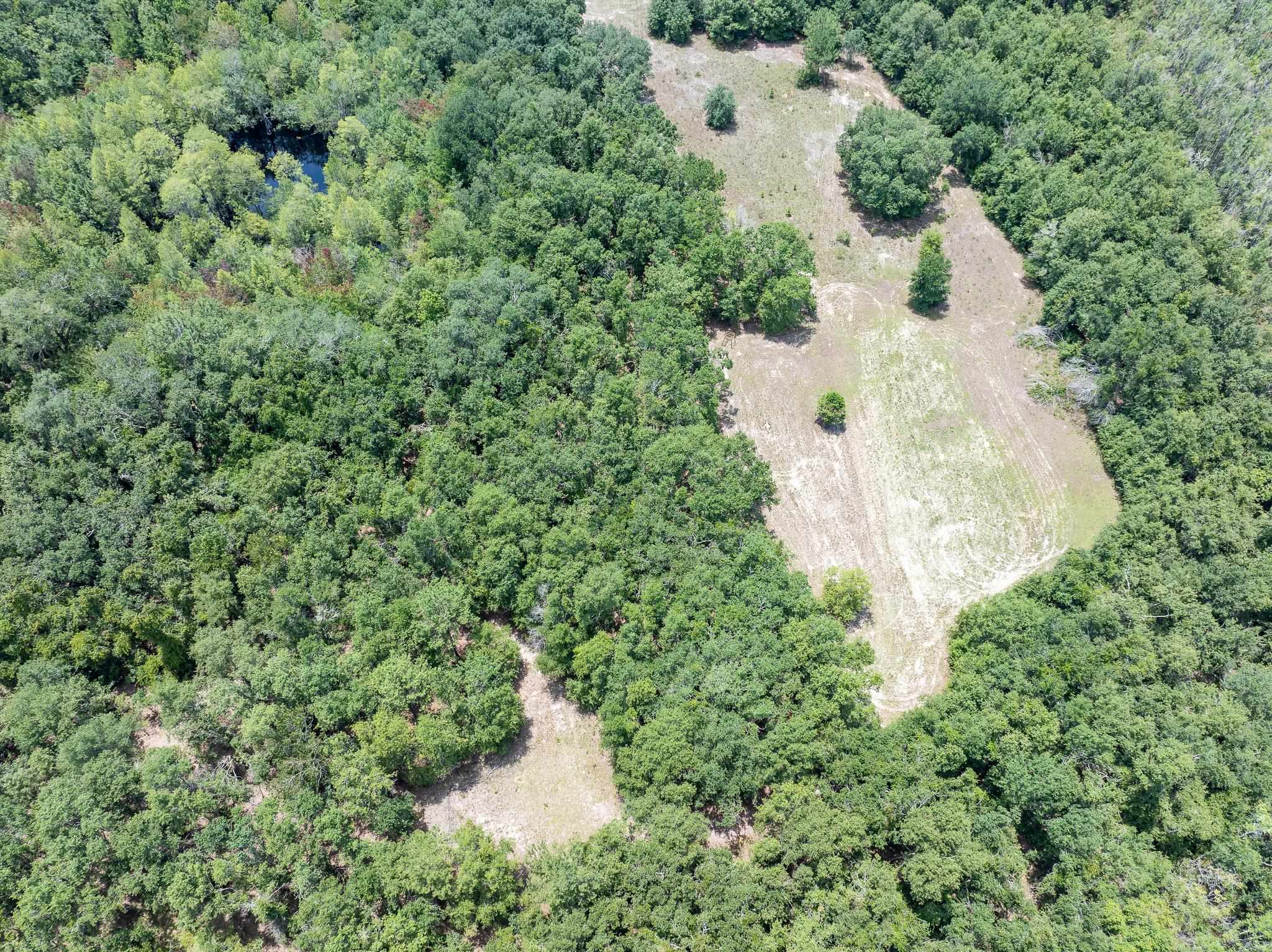 Vacant Northeast Rootman Road Madison, FL 32340 - Photo 8 of 22 Gallery Image 8