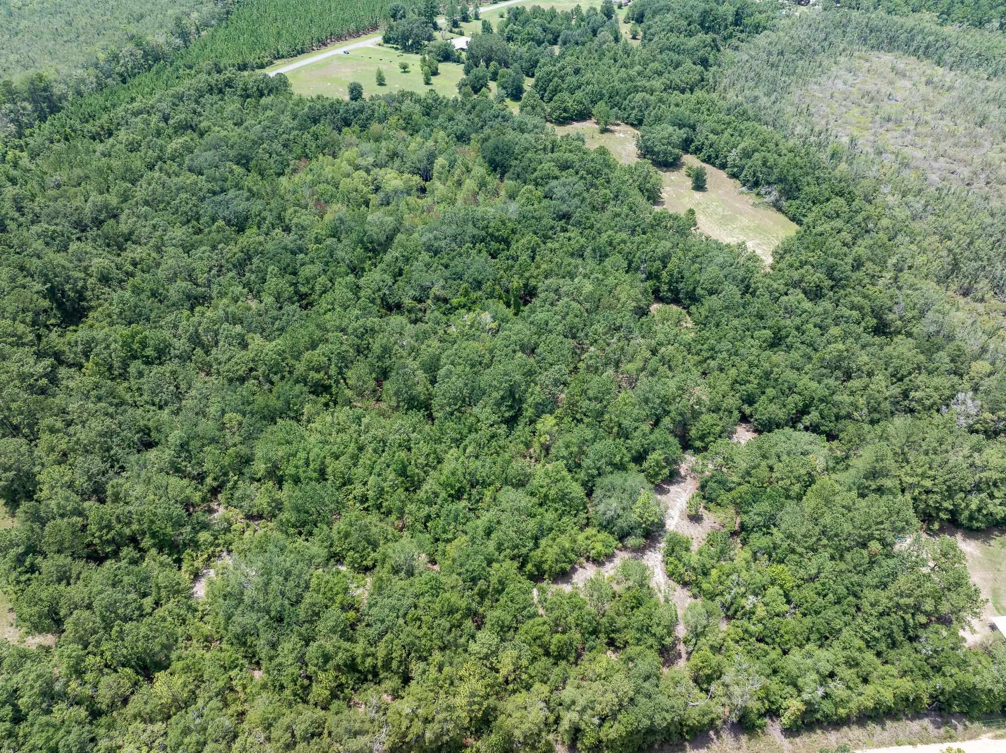 Vacant Northeast Rootman Road Madison, FL 32340 - Photo 10 of 22 Gallery Image 10