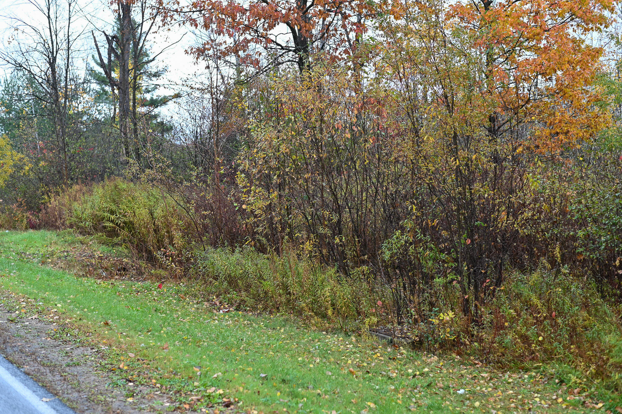 0 Stafford Road Plattsburgh, NY 12901 - Photo 11 of 14 DSC_4080