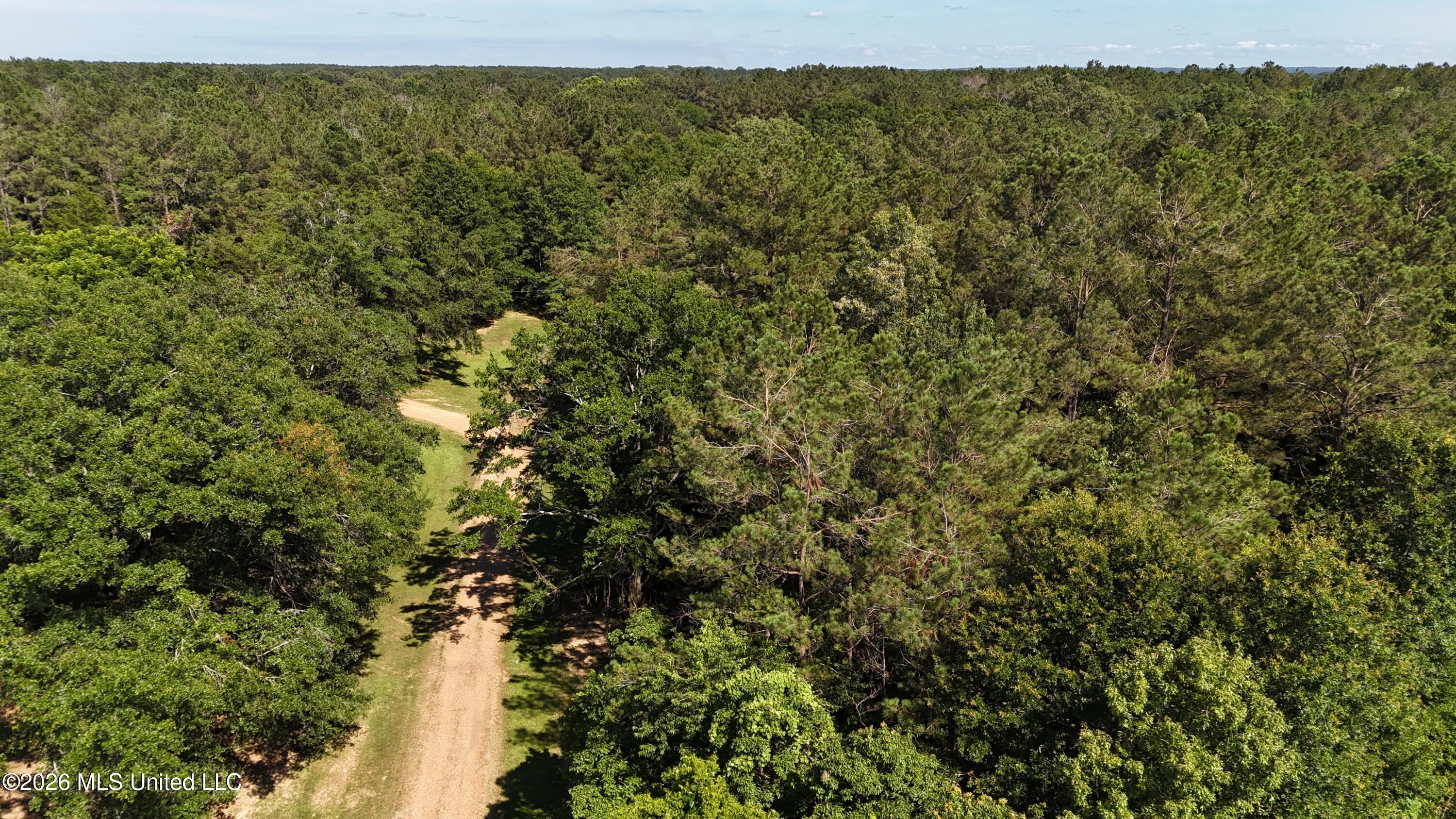 Willow Way Flora, MS 39071 - Photo 12 of 13 dji_fly_20260609_160456_0297_17811115714