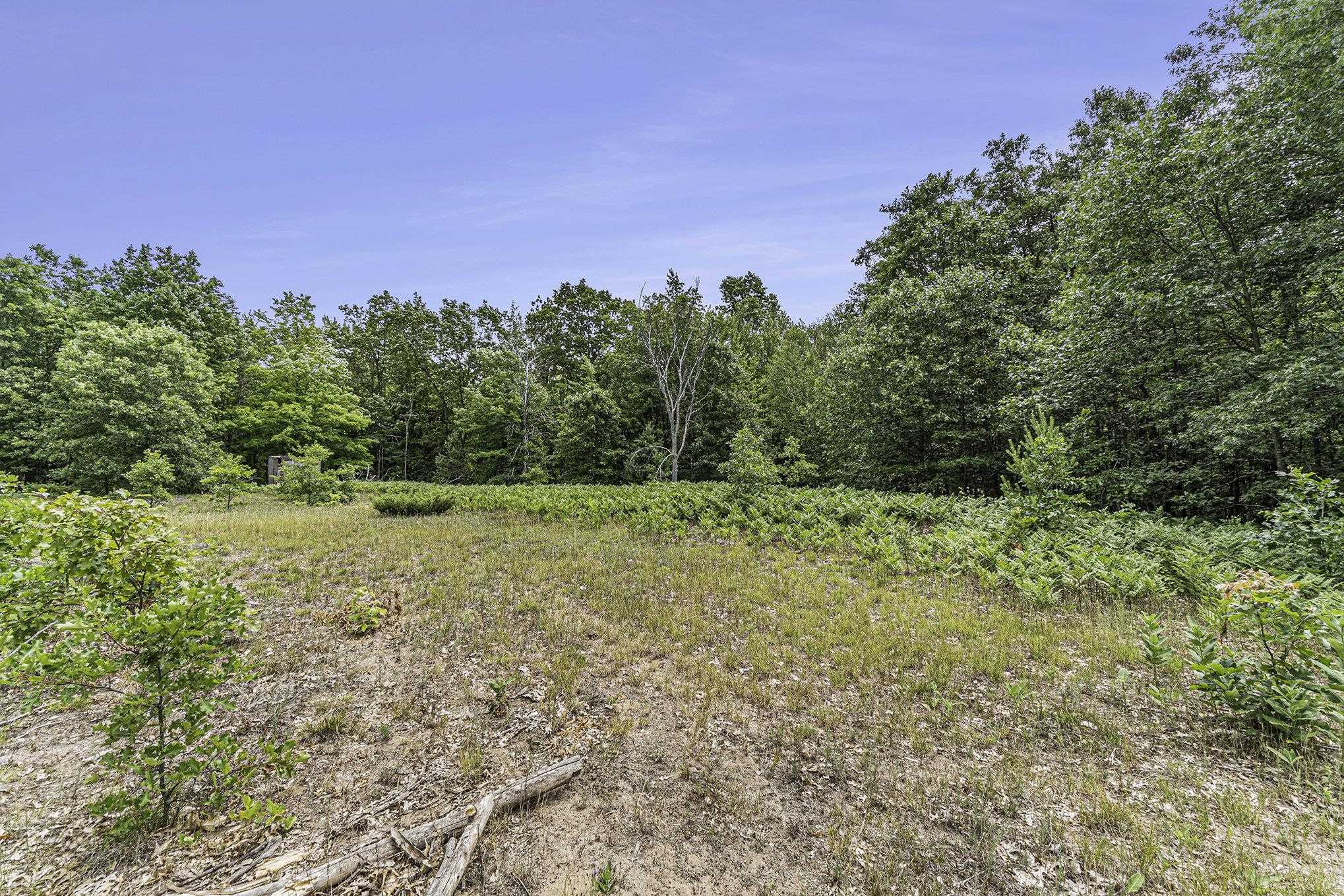 10440 Diamond Park Road Interlochen, MI 49643 - Photo 22 of 24