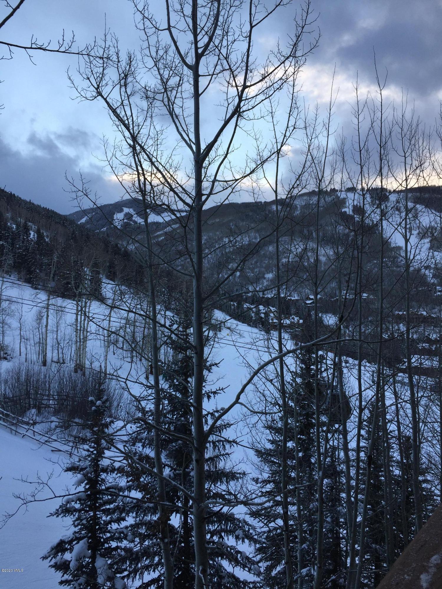 62 Highlands Lane, Unit R602 Beaver Creek, CO 81620 - Photo 25 of 30 a view of a yard with large tree