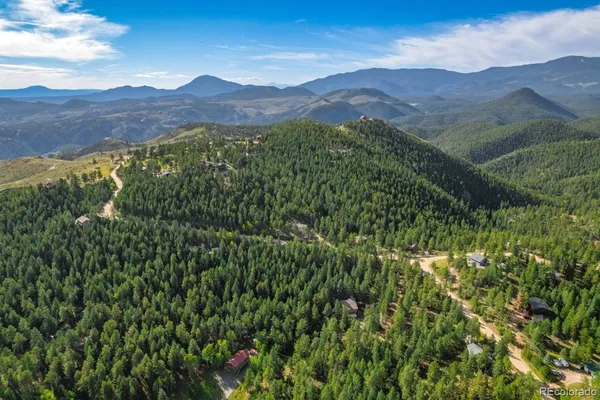 a view of a lush green hillside and a mountain