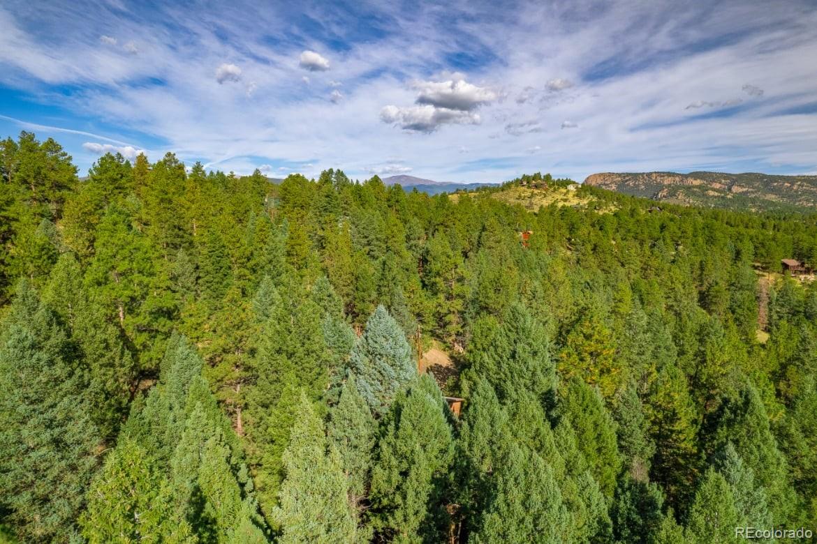 360 Hi Meadow Drive Bailey, CO 80421 - Photo 11 of 18