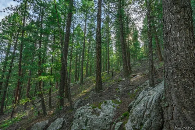 a view of outdoor space and trees