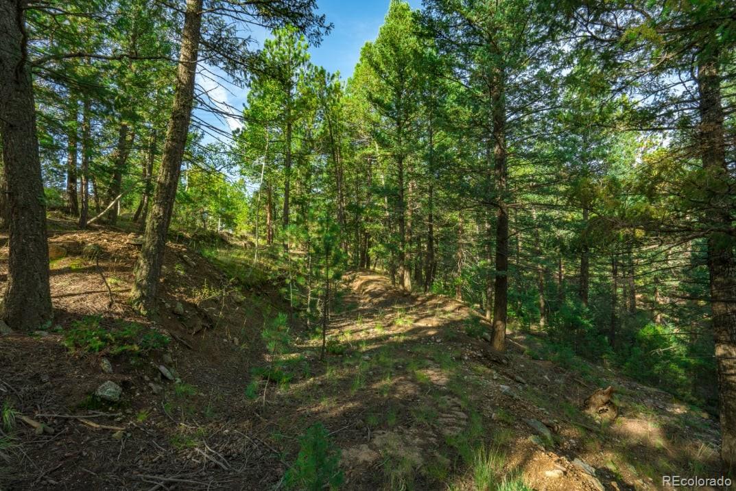 360 Hi Meadow Drive Bailey, CO 80421 - Photo 16 of 18