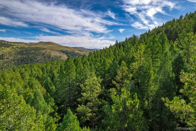 a view of a city with lush green forest