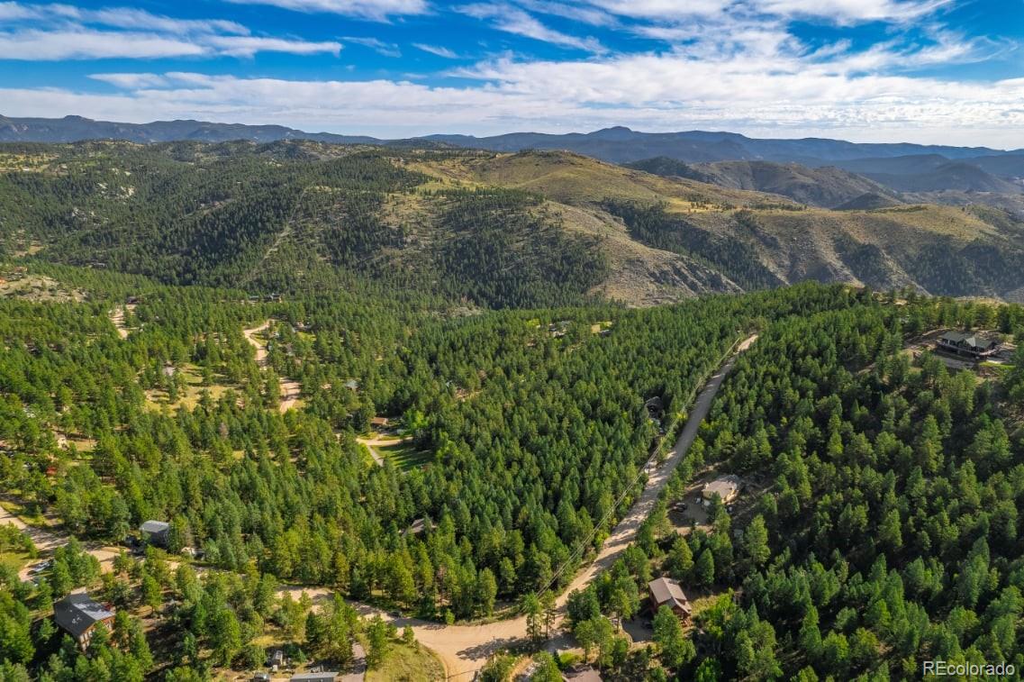 360 Hi Meadow Drive Bailey, CO 80421 - Photo 4 of 18