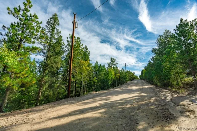 a view of a city with lush green forest