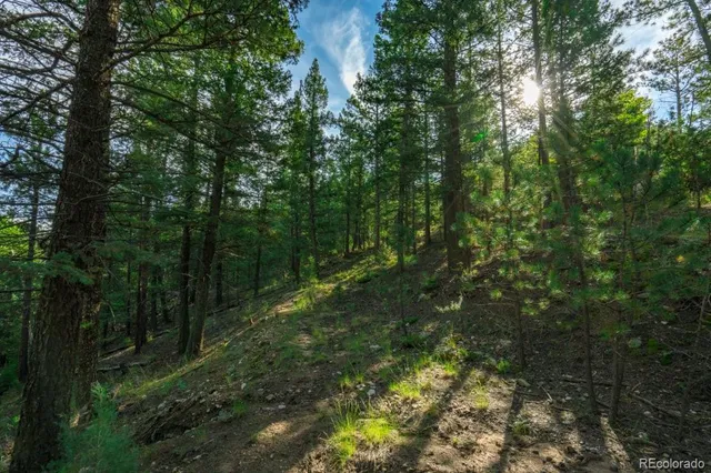 a view of a city with lush green forest