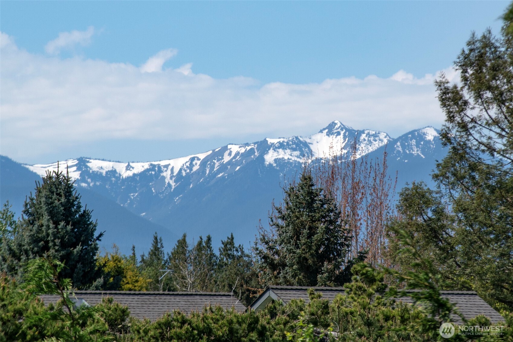 21 Donaper Road Sequim, WA 98382 - Photo 3 of 40