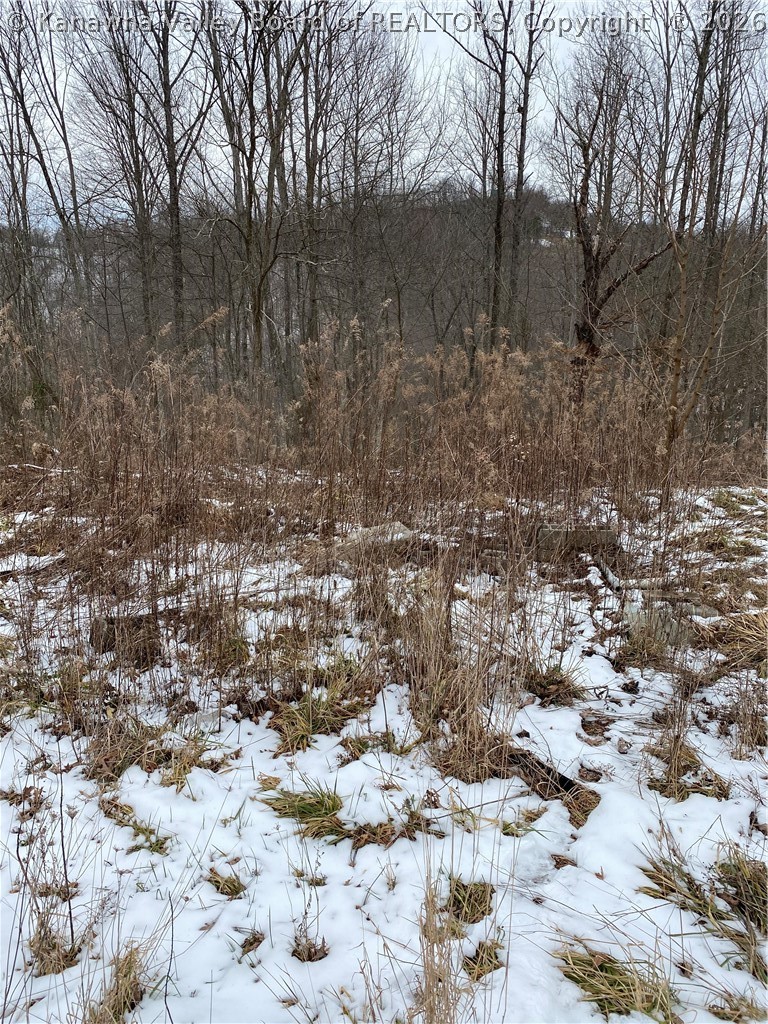 4167 Laurel Fork Road Clendenin, WV 25045 - Photo 3 of 3 Gallery Image 3