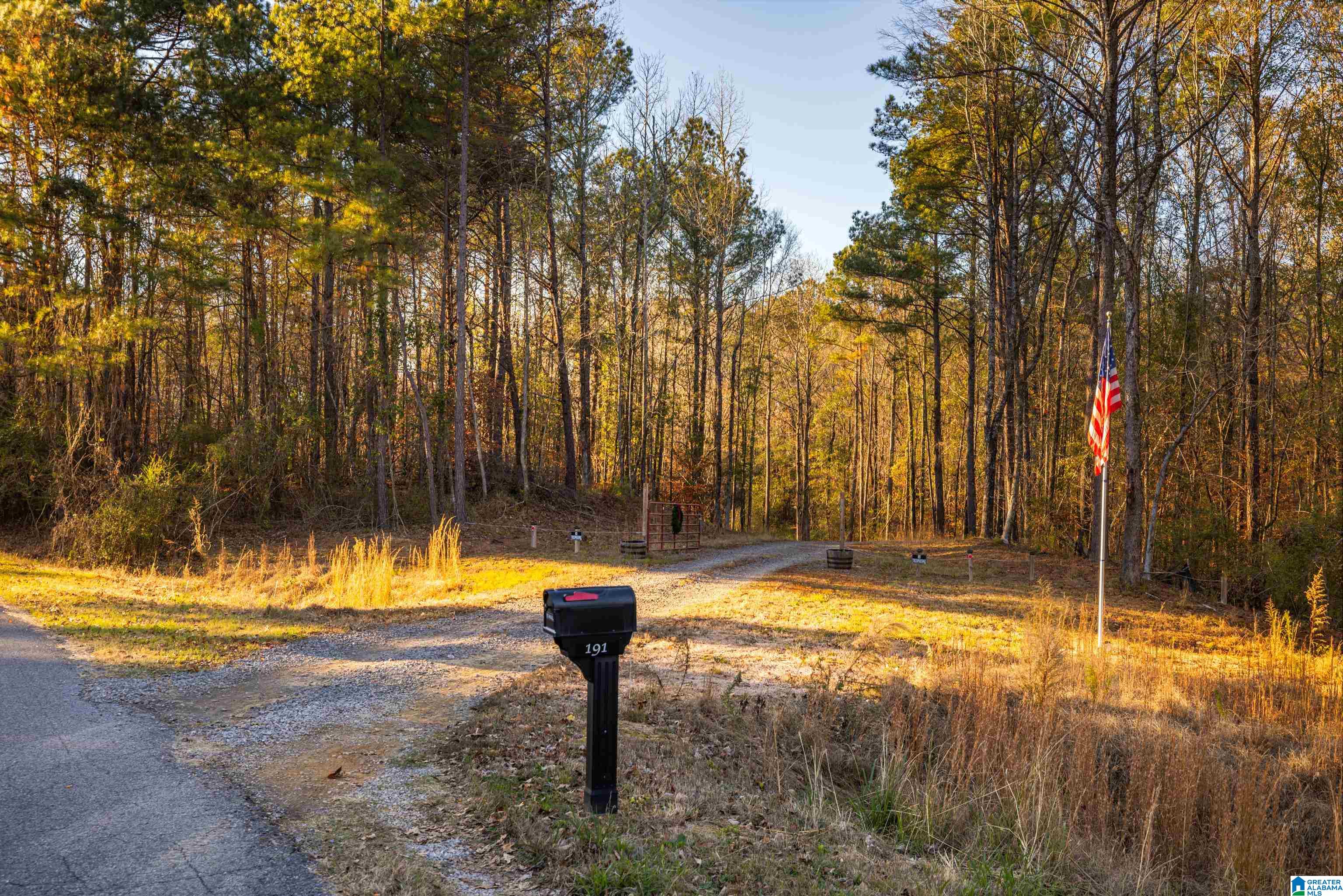 191 Warrior River Highlands Road Adger, AL 35006 - Photo 55 of 81
