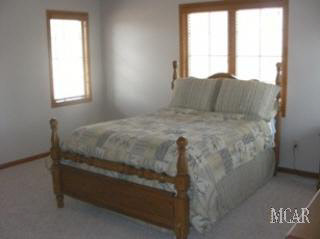 9918 Cemetery Road Erie, MI 48133 - Photo 9 of 20 Master Bedroom