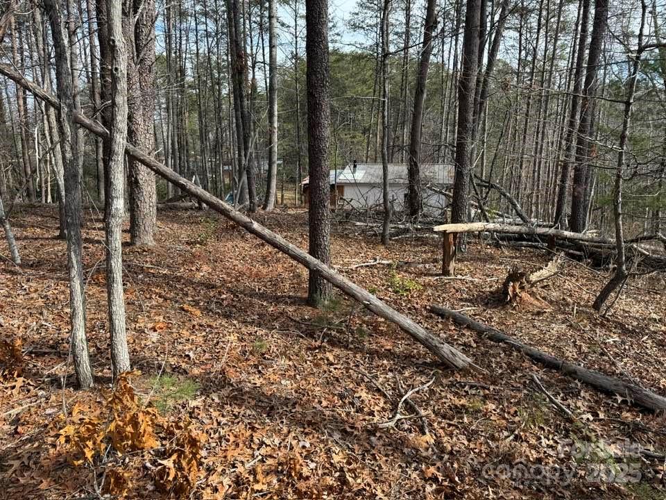 5 Kelly Lane, Unit 5 Mill Spring, NC 28756 - Photo 7 of 20 Gallery Image 7