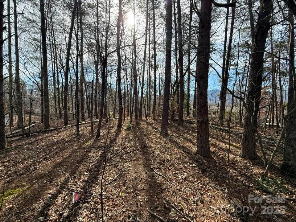 5 Kelly Lane, Unit 5 Mill Spring, NC 28756 - Photo 8 of 20 Gallery Image 8