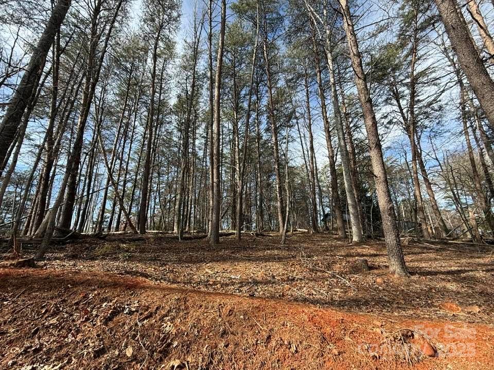 5 Kelly Lane, Unit 5 Mill Spring, NC 28756 - Photo 9 of 20 Gallery Image 9