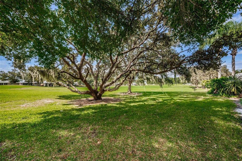 1203 Hagen Drive Trinity, FL 34655 - Photo 7 of 21 a view of a volley ball court